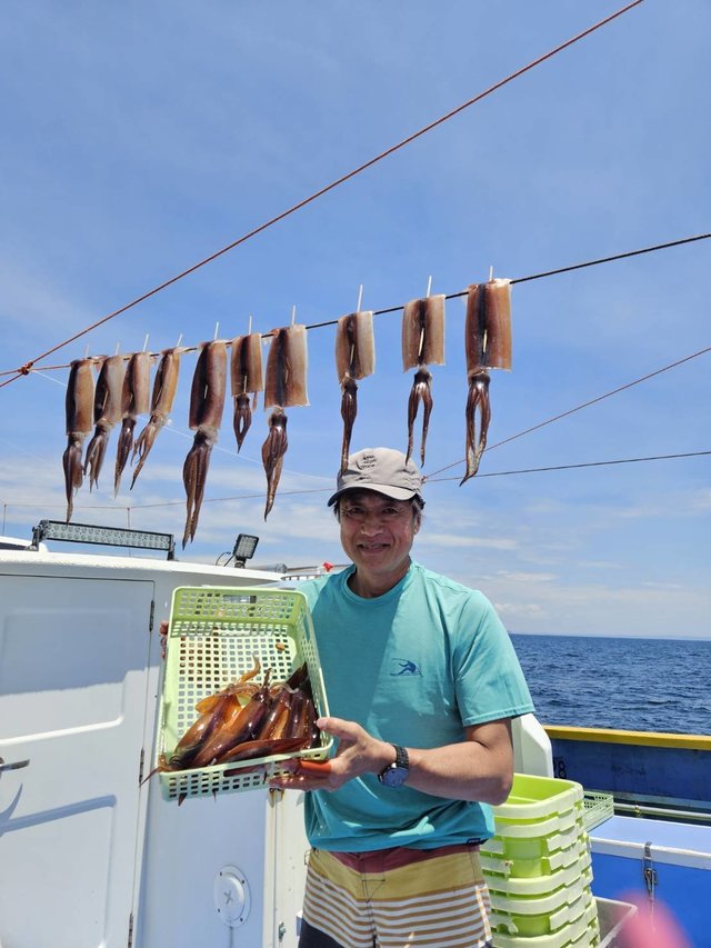 スルメ(スルメイカ)