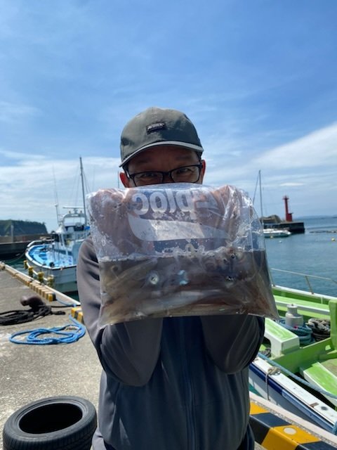 マルイカ(ケンサキイカ)