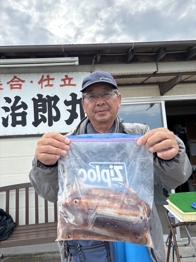 ムギイカ(スルメイカ)