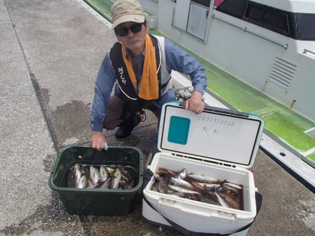 マアジ・イサキ