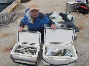 マアジ・イサキ