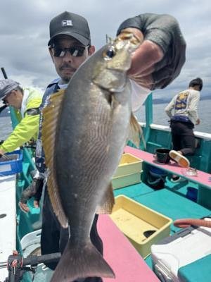 イサギ(イサキ)