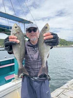 イサギ(イサキ)