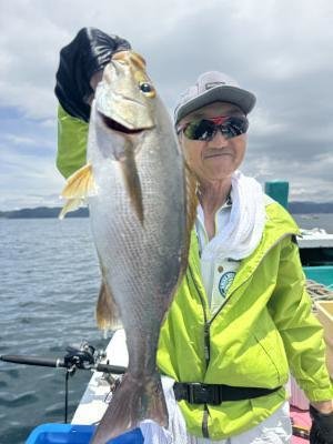 イサギ(イサキ)