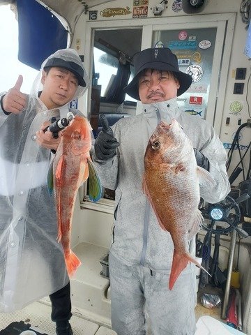 タイ(マダイ)・ホウボウ