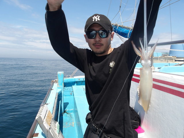 マルイカ(ケンサキイカ)