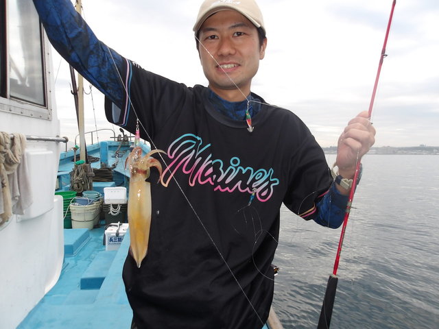 マルイカ(ケンサキイカ)