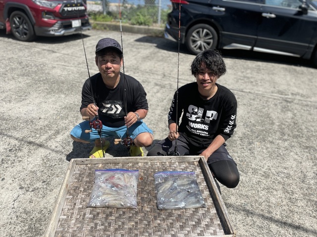 マルイカ(ケンサキイカ)