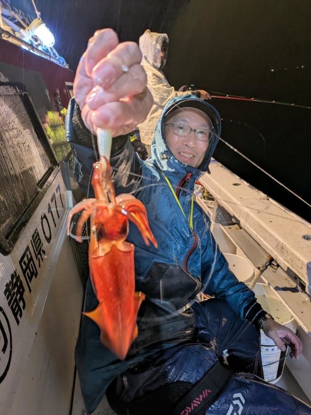 ムギイカ(スルメイカ)