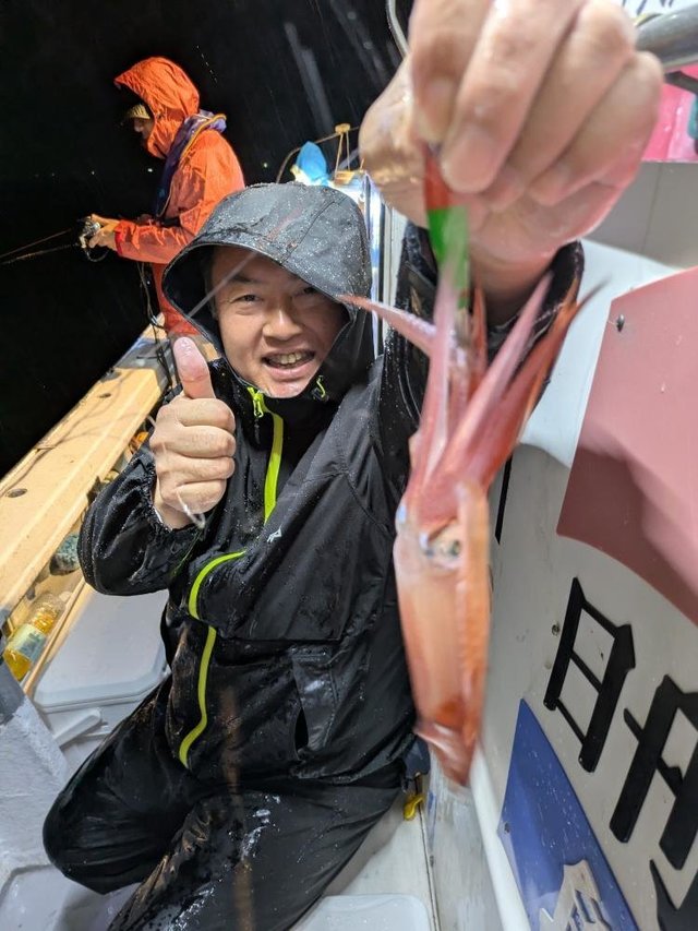 ムギイカ(スルメイカ)