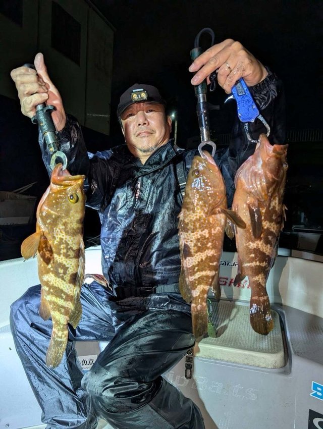 アコウ(キジハタ)