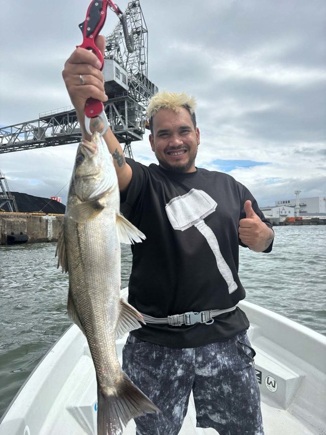 シーバス(スズキ)