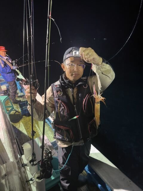 マイカ(ケンサキイカ)