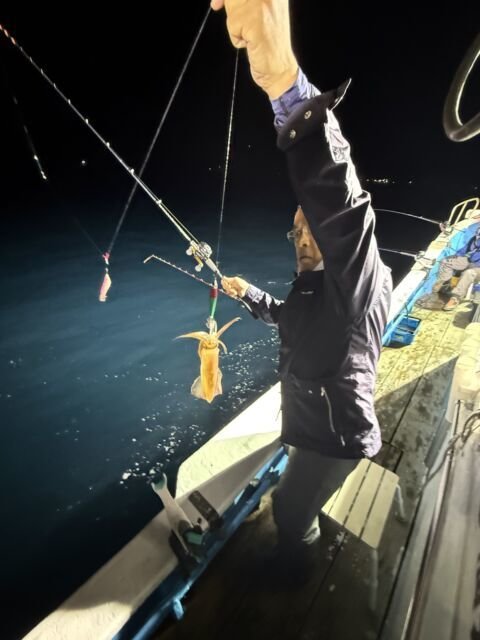 マイカ(ケンサキイカ)