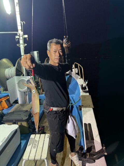 マイカ(ケンサキイカ)