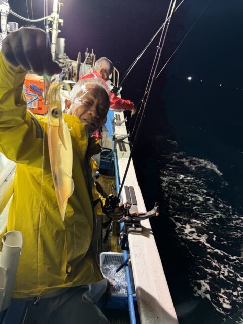 マイカ(ケンサキイカ)