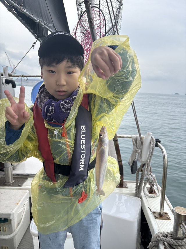 キス(シロギス)