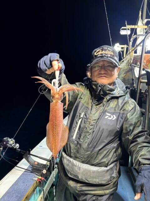 マイカ(ケンサキイカ)