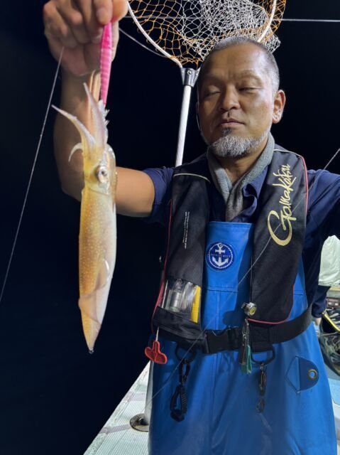 マイカ(ケンサキイカ)