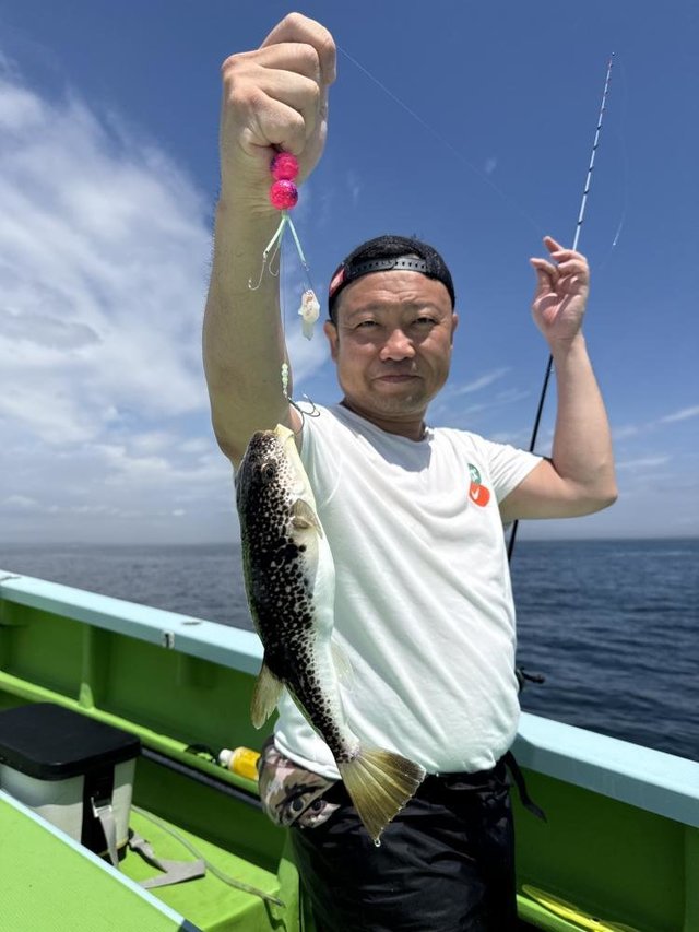 フグ(ショウサイフグ)