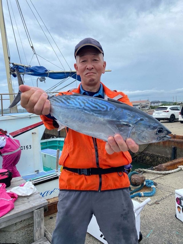 スマガツオ(スマ)