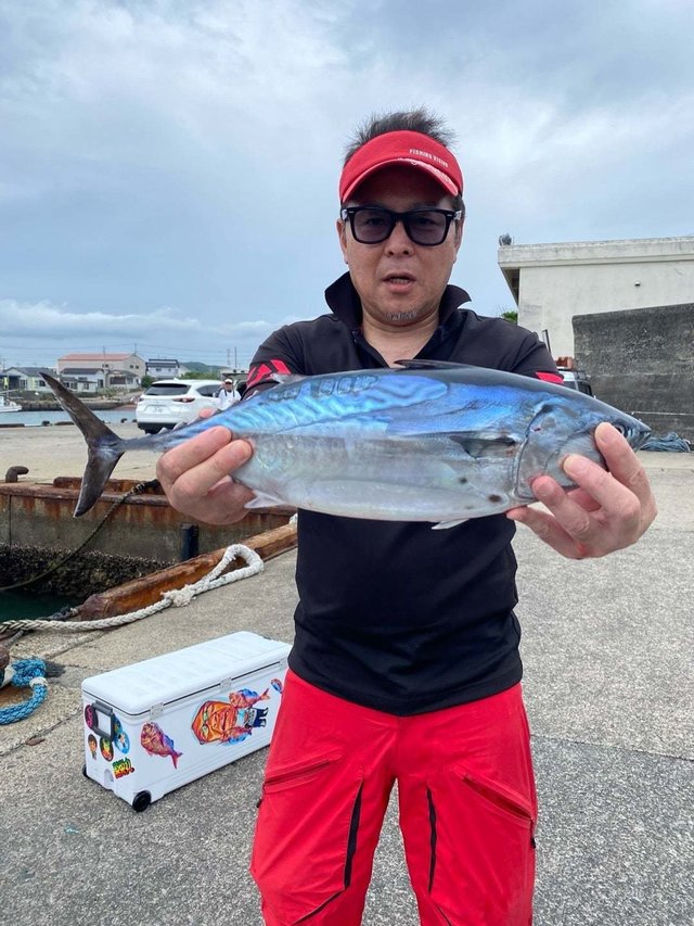 スマガツオ(スマ)