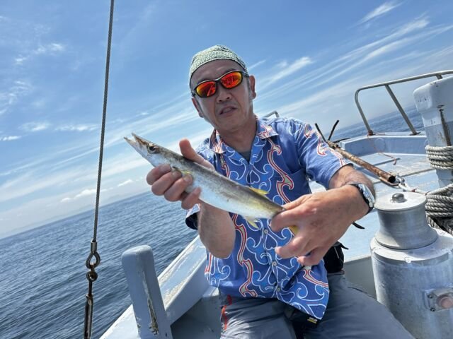 カマス(アカカマス)