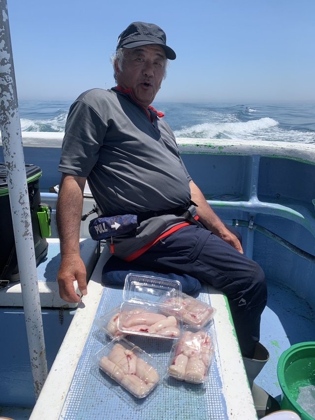 ショウサイフグ