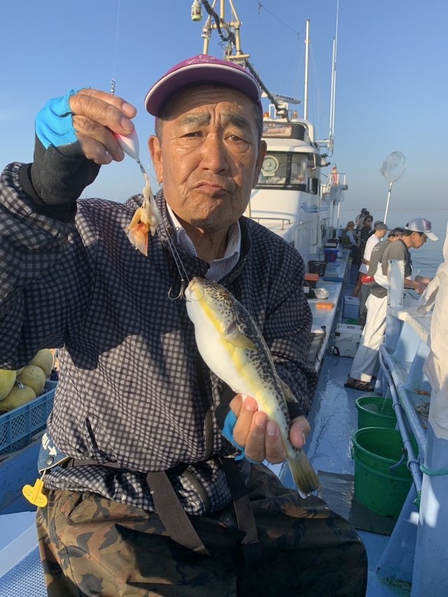 ショウサイフグ