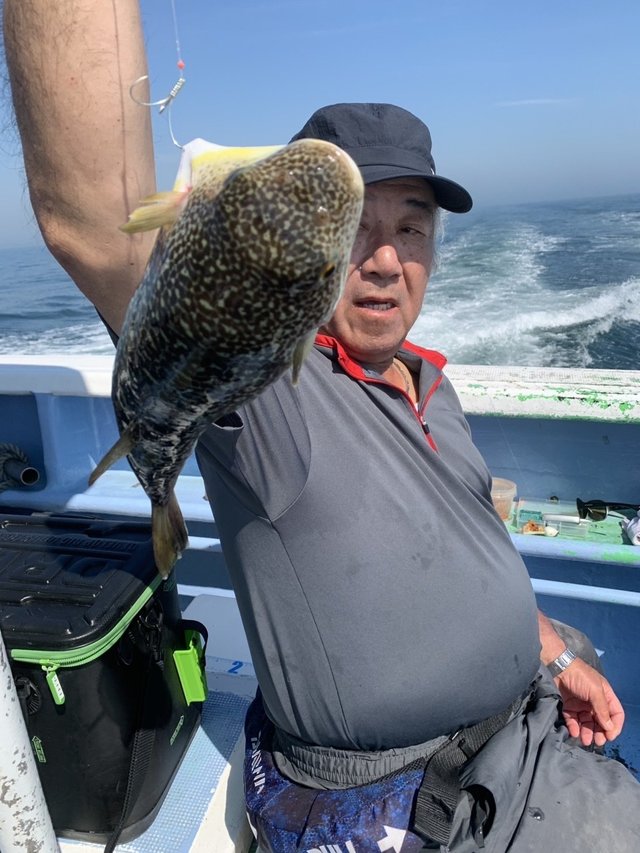 ショウサイフグ