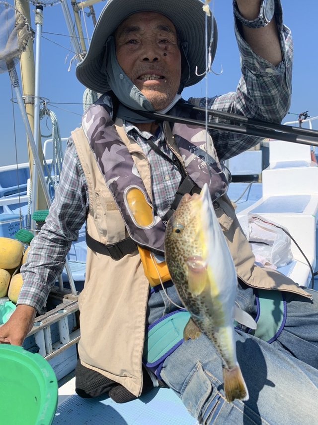 ショウサイフグ