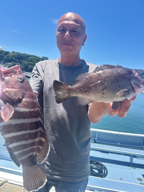 マハタ・メバル