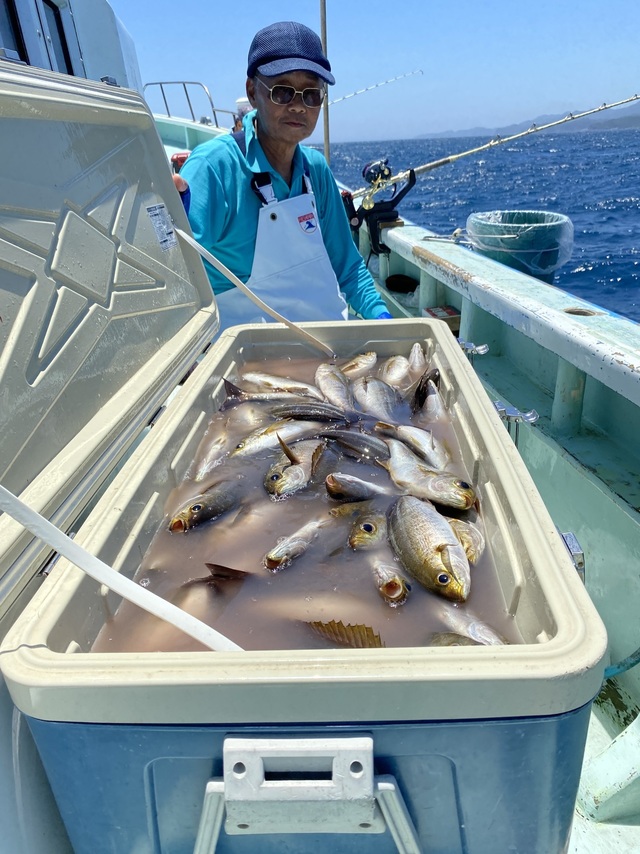 イサギ(イサキ)