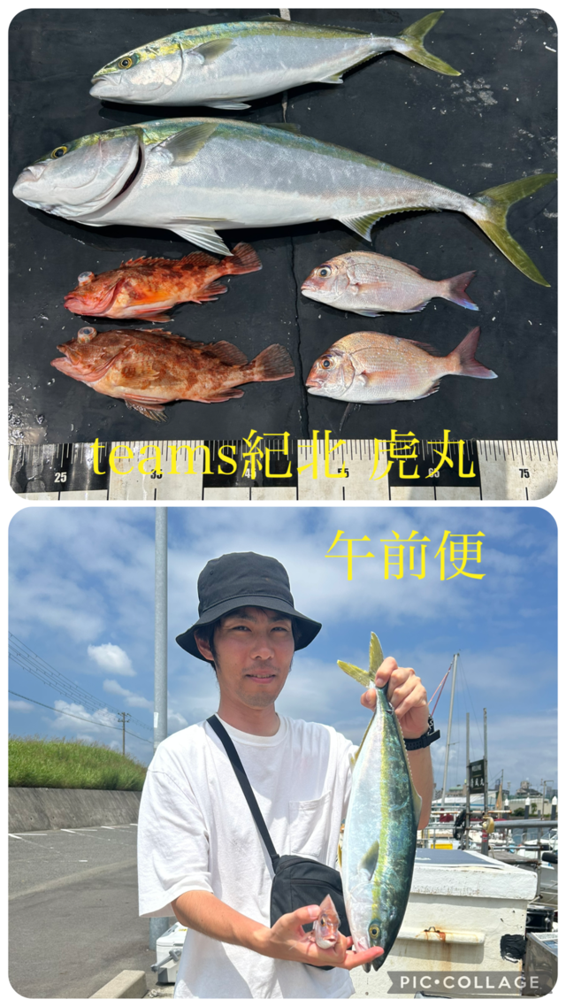 タイ(マダイ)・ハマチ(ブリ)・メジロ(ブリ)・ガシラ(カサゴ)