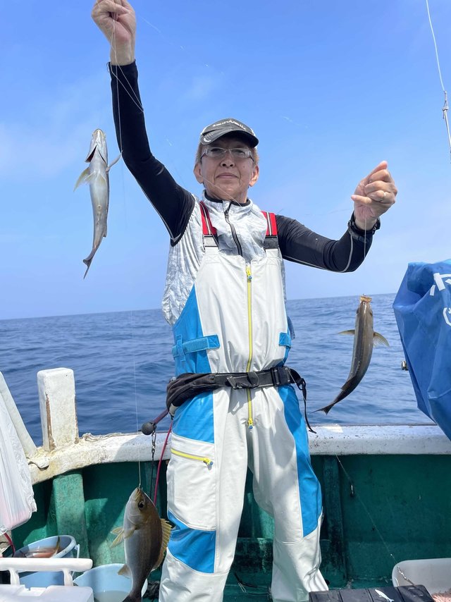 イサギ(イサキ)