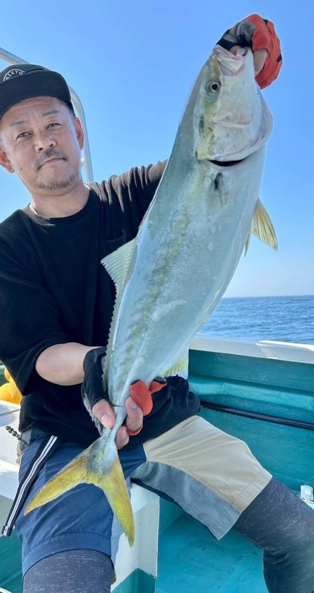 サンパク(ブリ)