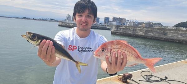 マダイ・アジ(マアジ)