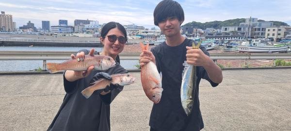 アジ(マアジ)・アマダイ(アカアマダイ)