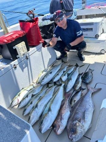 マダイ・グレ(メジナ)・ブリ・ワラサ(ブリ)・ヒラマサ・イサキ・メダイ