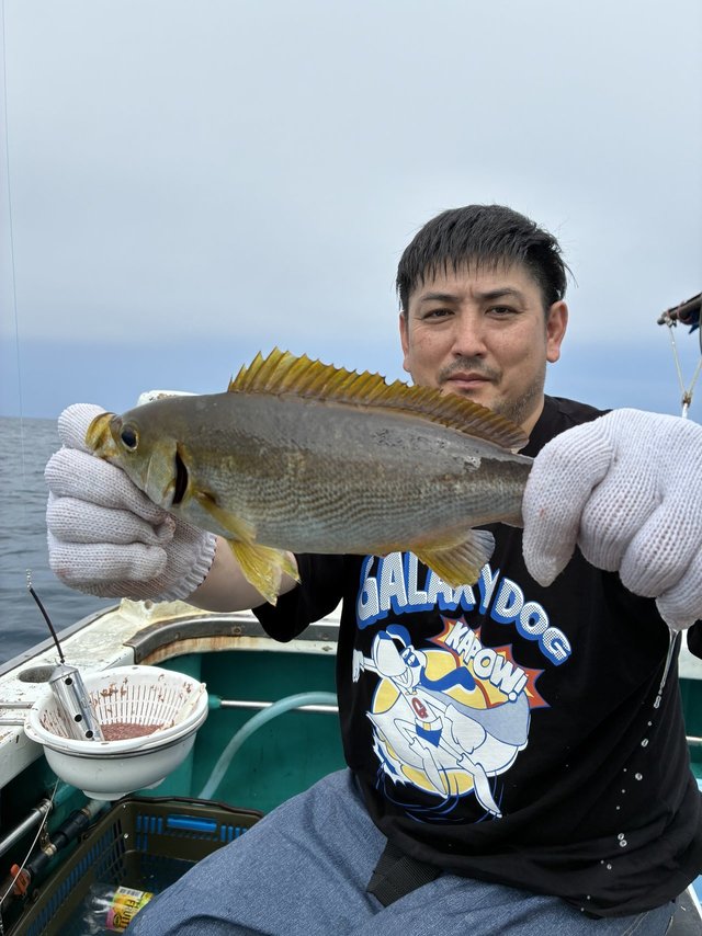 イサギ(イサキ)