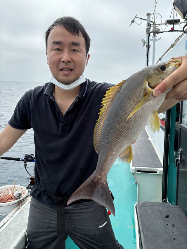 イサギ(イサキ)