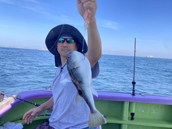 ショウサイフグ