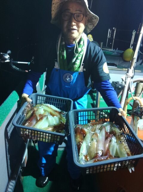 イカ(ヤリイカ)