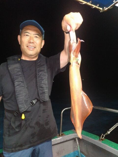 イカ(ヤリイカ)