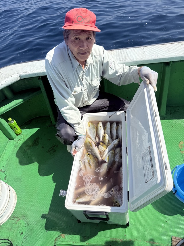 イサギ(イサキ)