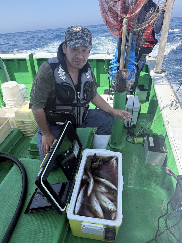 イサギ(イサキ)