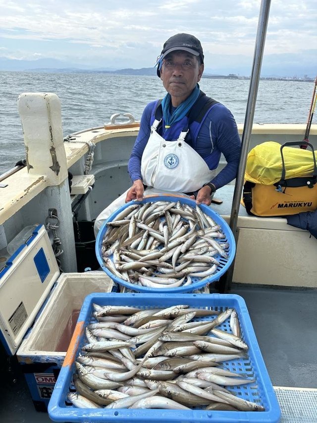 シロキス(シロギス)