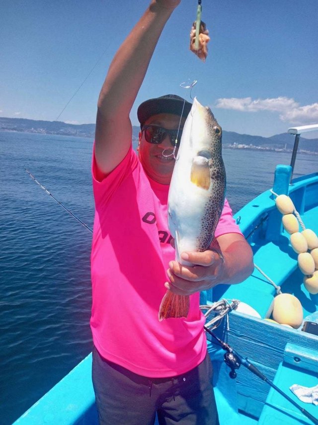 フグ(ショウサイフグ)