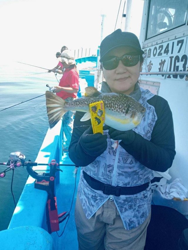 フグ(ショウサイフグ)