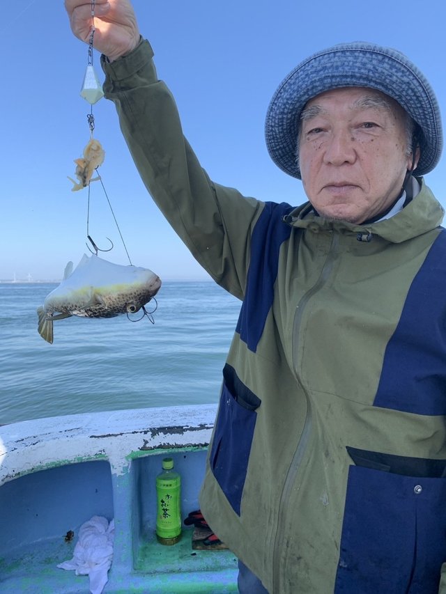 ショウサイフグ